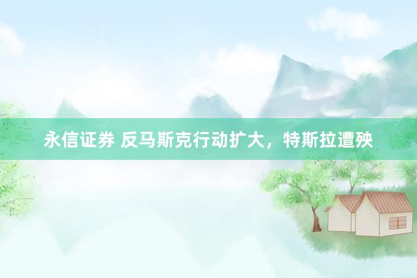 永信证券 反马斯克行动扩大，特斯拉遭殃