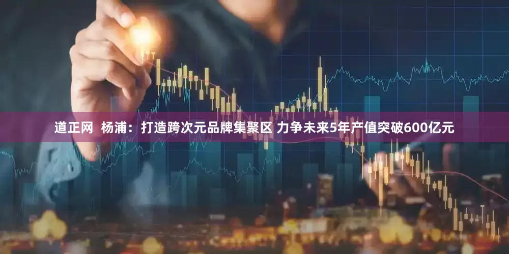 道正网  杨浦：打造跨次元品牌集聚区 力争未来5年产值突破600亿元