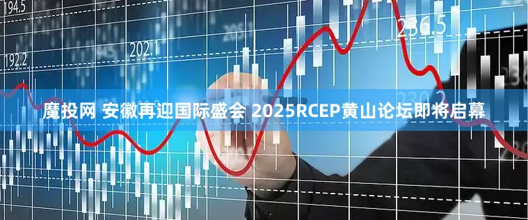 魔投网 安徽再迎国际盛会 2025RCEP黄山论坛即将启幕
