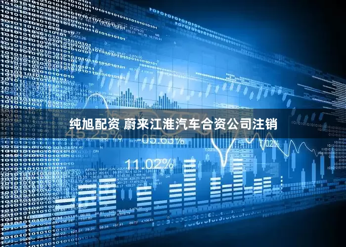 纯旭配资 蔚来江淮汽车合资公司注销
