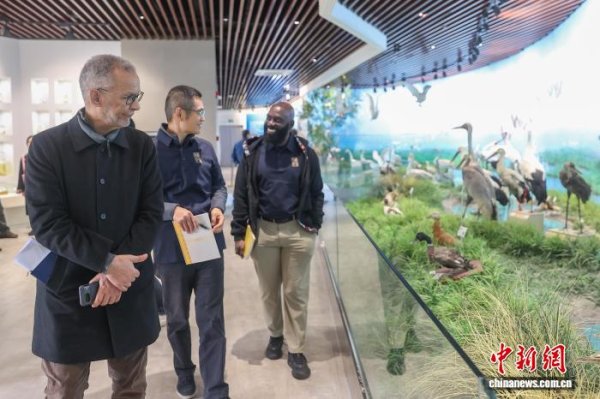 天猫配资端 联合国粮农组织官员：鄱阳湖区湿地保护模式有借鉴意义